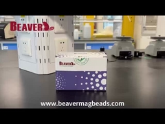 BeaverBeadsTM Mag NH2 Perles magnétiques vidéo de déballage
