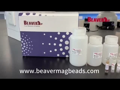 BeaverBeads mouchardent la stabilité de Kit Extract Nucleic Acid Excellent d'ARN