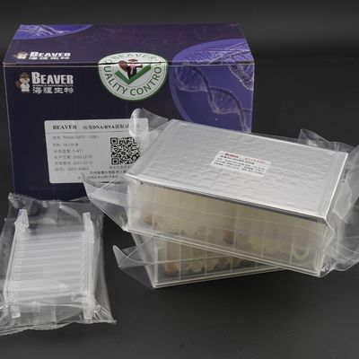 Qualité  Viral DNA RNA Kit Nucleic Acid Extraction Kits Prefilled Plates 32 Reactions U Bottom Usine