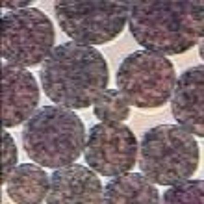 Qualité  5 mL NHS Activated Magnetic Beads Preactivated N - Hydroxy Succinimide Nanoparticle Usine