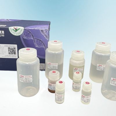 Le castor perle le criblage de circulation de tumeur de Kit For Prenatal Diagnosis And d'extraction d'ADN