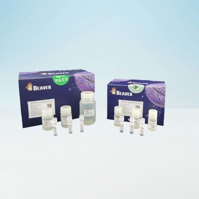 Rapidement ADN Kit For Laboratory Use de sang de BeaverBeads