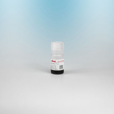 BEAVER GST fusion protéine purifiée perles GSH Magnétique Perles Protein Purification Nouveau Matériau Fonctionnel Conçu GSH kit GST purification des protéines