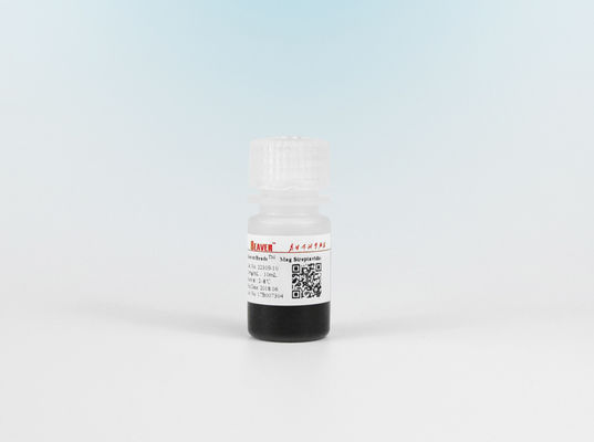 perles magnétiques de 1μm Streptavidin pour la cellule de chimiluminescence assortissant la capture de sonde