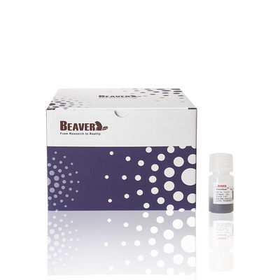 50% de volume Ratio 10 ml Agarose OH Magbeads Protéines Purification extraction et purification d'acides nucléiques