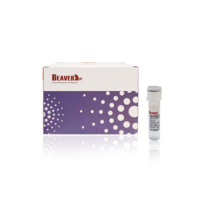 BEAVER GST fusion protéine purifiée perles GSH Magnétique Perles Protein Purification Nouveau Matériau Fonctionnel Conçu GSH kit GST purification des protéines