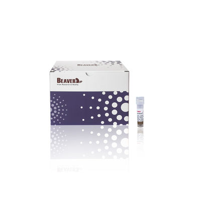 BeaverBeads® Anti-HA Perles magnétiques HA Tag Purification des protéines Perles magnétiques 0,5 ml / 1 ml / 5 ml Perles de protéines HA