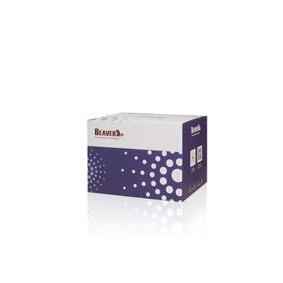BeaverBeads® Anti-HA Perles magnétiques HA Tag Purification des protéines Perles magnétiques 0,5 ml / 1 ml / 5 ml Perles de protéines HA