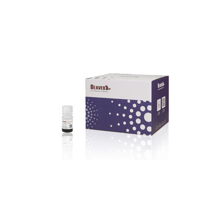 BeaverBeads 5mL HA Perles de protéines Anti HA Perles magnétiques