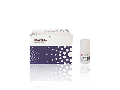 Mag OH Perles magnétiques Extraction d'ADN Silice Perles magnétiques Fe3O4 1 μm 10 mg / mL 50 mL