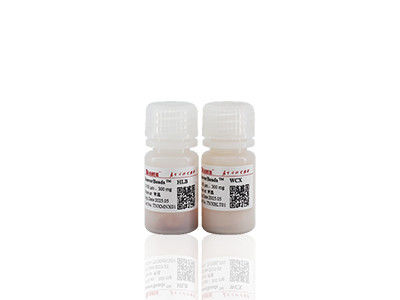 Mag COOH Perles magnétiques Polymère Carboxyl Perles magnétiques Immunodiagnostic Perles magnétiques 2μm 10 mg / mL 50 mL