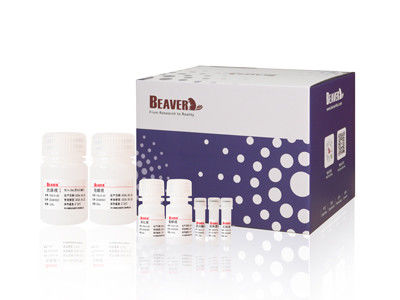 100 Rxns Kit d'ADN viral d'animal de tête de castor pour un débit automatisé et élevé
