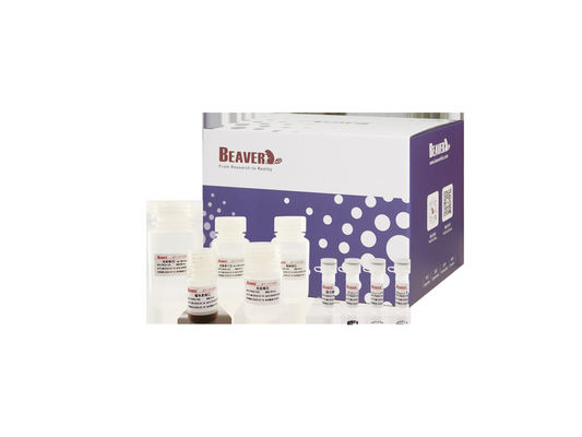 BeaverBeadsTM ADN / ARN Extraction d'acide nucléique du sang Perles magnétiques kits d'extraction du génome Extraction du kit d'ARN génomique