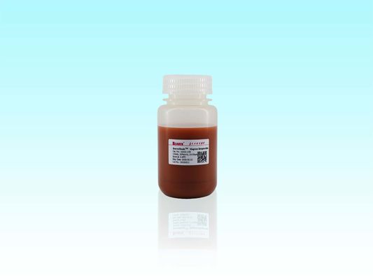BeaverBeads 10-30μm Magros Streptavidine Magnétique Perles La solution ultime pour l' enrichissement et la purification des protéines