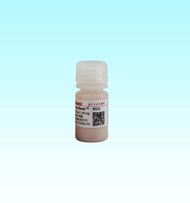 15-50 μm noyau polymère WCX perles magnétiques avec Fe3O4 noyau magnétique et haute surface spécifique de 700-850 m2/g