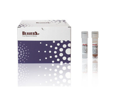 Kit d'isolement des cellules CD4 de souris BeaverBeads, certifié CE pour la recherche en laboratoire