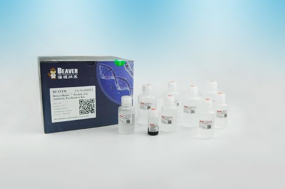 Purification magnétique 2μm de protéine de perles d'anticorps de la protéine A/G 30 mg/ml 5 ml