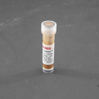 perles magnétiques de 300nm Streptavidin pour la cellule assortissant la capture de sonde 10 mg/ml 1 ml