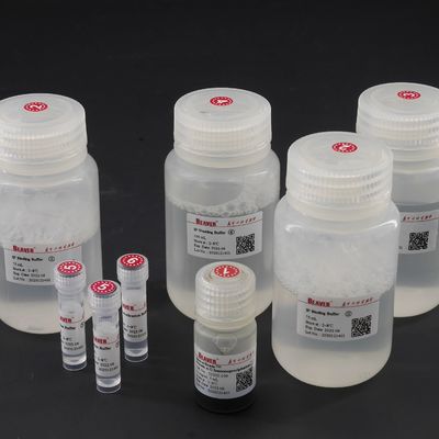 10 mg/ml perles magnétiques de la protéine A/G pour l'immunoprécipitation 100 réactions