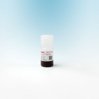 Perles magnétiques de silice du magnétique OH pour l'extraction 500nm d'ADN 10 mg/ml 5 ml
