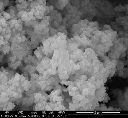 Extraction 1μm d'ADN de Silane Magnetic Beads For 50 mg/ml 10 ml