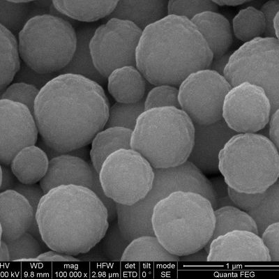 perles magnétiques de 1μm Streptavidin pour la cellule assortissant la capture de sonde 10 mg/ml 1 ml