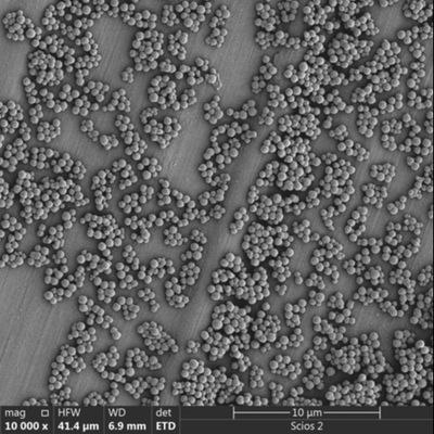 perles magnétiques de 2.8μm Streptavidin pour le tri de cellules de chimiluminescence