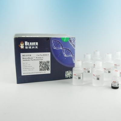 Purification magnétique 2μm de protéine de perles d'anticorps de la protéine A 30 mg/ml 5 ml