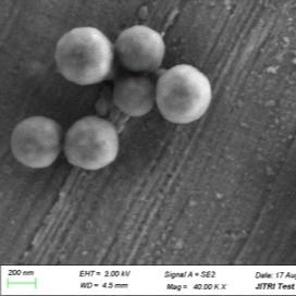 perles magnétiques de silice de 50 ml 500nm pour l'extraction d'ADN dans divers systèmes de tampon