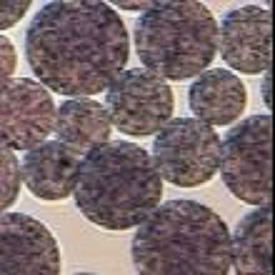 Perles magnétiques Preactivated N - Nanoparticle hydroxy de NHS d'agarose de Succinimide